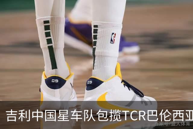吉利中国星车队包揽TCR巴伦西亚站三回合冠军